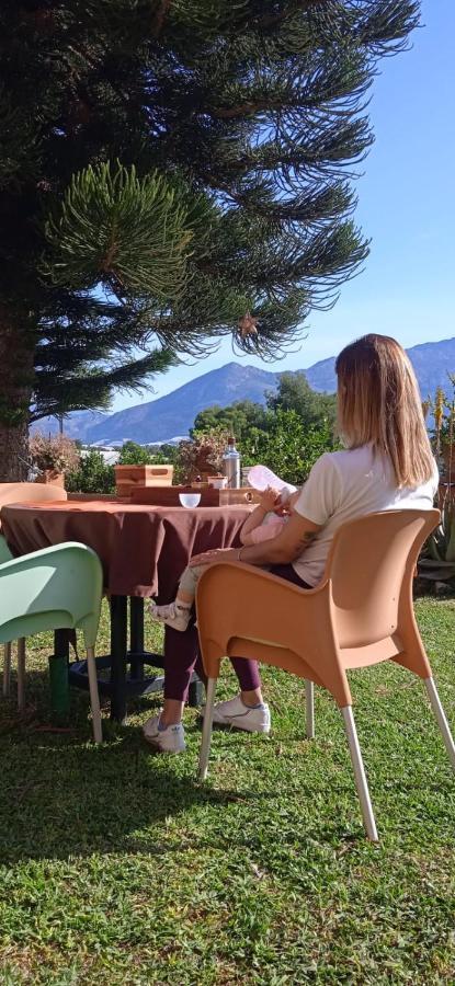 Caravana- Glamping Casa Tortuga Ла-Нусія Екстер'єр фото